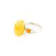 Bright Honey Amber Ring In Sterling Silver The Prussia, Ring Size: 13 / 22, image , picture 3