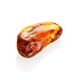 Amber Stone With Fly Inclusion, image , picture 4