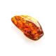 Amber Stone With Fly Inclusion, image , picture 5