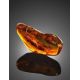 Amber Stone With Fly Inclusion, image , picture 3
