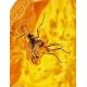 Natural Amber Stone With Mosquito Inclusion, image , picture 2