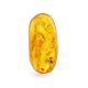Natural Amber Stone With Mosquito Inclusion, image 