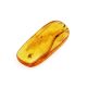 Souvenir Amber Stone With Spider Inclusion, image 