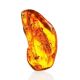 Amber Stone With Fly Inclusion, image 