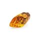 Amber Souvenir Stone With Inclusion, image , picture 4