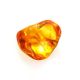 Glossy Amber Stone With Insect Inclusion, image , picture 5