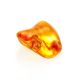 Glossy Amber Stone With Insect Inclusion, image , picture 6