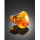 Glossy Amber Stone With Insect Inclusion, image , picture 4