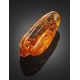 Amber Stone With Insect Inclusion, image , picture 3