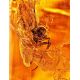 Amber Stone With Insect Inclusion, image , picture 2
