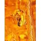 Amber Stone With Insect Inclusion, image , picture 6