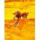 Luminous Amber Stone With Spider Inclusion, image , picture 2