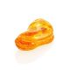 Natural Amber Stone With Insect Inclusion, image , picture 4