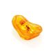 Natural Amber Stone With Insect Inclusion, image , picture 5