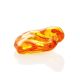 Amber Stone With Spider Inclusion, image , picture 5