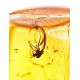 Natural Amber Stone With Midge Inclusion, image , picture 2