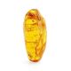 Amber Stone With Insect Inclusion, image 