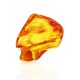 Amber Stone With Spider Inclusion, image 