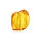Natural Amber Stone With Midge Inclusion, image 