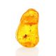 Natural Amber Stone With Insect Inclusion, image 