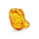 Glossy Amber Stone With Fly Inclusion, image 