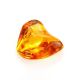 Glossy Amber Stone With Insect Inclusion, image 
