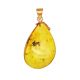 Drop Amber Pendant With Inclusion In Gold The Clio, image 
