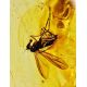 Amber Ring With Inclusions And Crystals In Gold The Clio, Ring Size: 7 / 17.5, image , picture 2