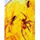 Lemon Amber Stone With Spider Inclusion, image , picture 2