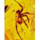 Lemon Amber Stone With Spider Inclusion, image , picture 4