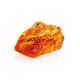 Genuine Amber Stone With Insect Inclusion, image , picture 5
