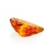 Natural Amber Stone With Insect Inclusion, image , picture 7