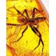 Genuine Amber Stone With Spider Inclusion, image , picture 2