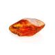 Amber Souvenir Stone With Inclusions, image , picture 7