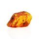 Amber Souvenir Stone With Inclusions, image , picture 8