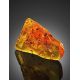 Cognac Amber Souvenir Stone With Insect Inclusions, image , picture 6