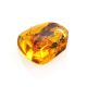 Amber Stone With Grasshopper Inclusion, image , picture 5