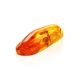 Natural Amber Stone With Insect Inclusion, image , picture 5