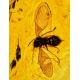 Drop Amber Pendant In Sterling Silver With Inclusions The Clio, image , picture 3