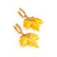 Drop Amber Earrings In Gold The Canada, image , picture 3