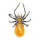 Gold Plated Brooch With Honey Amber The Spider, image , picture 3