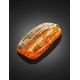Textured Amber Stone With Fly Inclusion, image , picture 3