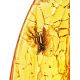 Textured Amber Stone With Fly Inclusion, image , picture 2