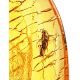 Textured Amber Stone With Fly Inclusion, image , picture 4