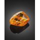 Natural Amber Souvenir Stone With Inclusion, image , picture 3