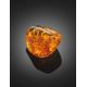 Natural Amber Souvenir Stone With Inclusion, image , picture 4