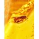 Natural Amber Souvenir Stone With Inclusion, image , picture 2