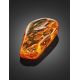 Amber Souvenir Stone With Fly Inclusion, image , picture 4