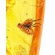 Amber Souvenir Stone With Fly Inclusion, image , picture 2