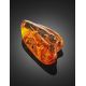 Amber Souvenir Stone With Insect Inclusions, image , picture 5